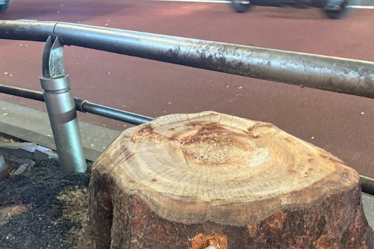 Right in the heart of Shibuya, Tokyo, when you happen to look down at your feet... ⇨ A "Bodhisattva in a tree stump" draws comments like "A Reiwa-era Enku?" and "The lumberjack Banksy"