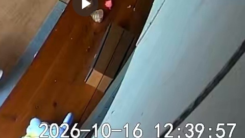 Worried about my beloved dog after an earthquake early warning... when I hurriedly checked the pet camera ⇒ an unexpected sight got 120,000 likes