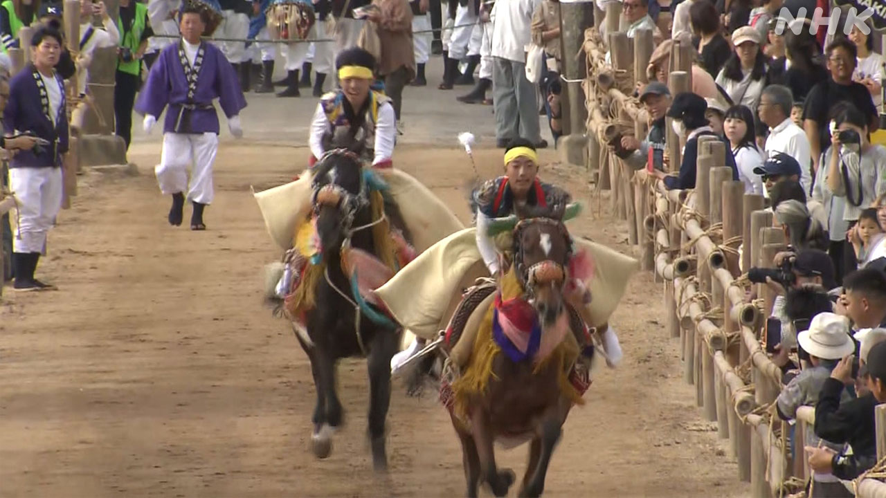Imabari City, Ehime Prefecture: The traditional "Otomo-uma no Hashirikomi" event